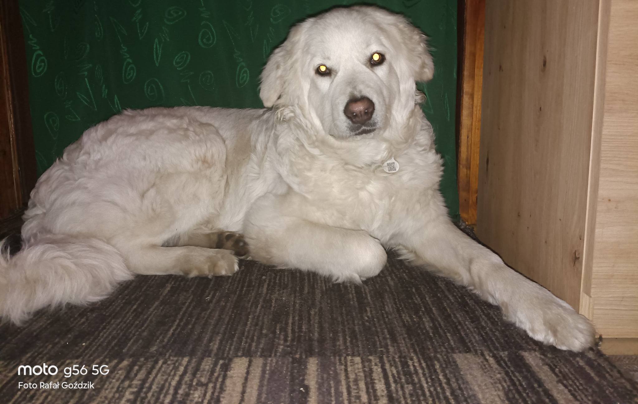 607789776 122145135842975077 8661668006377291541 n