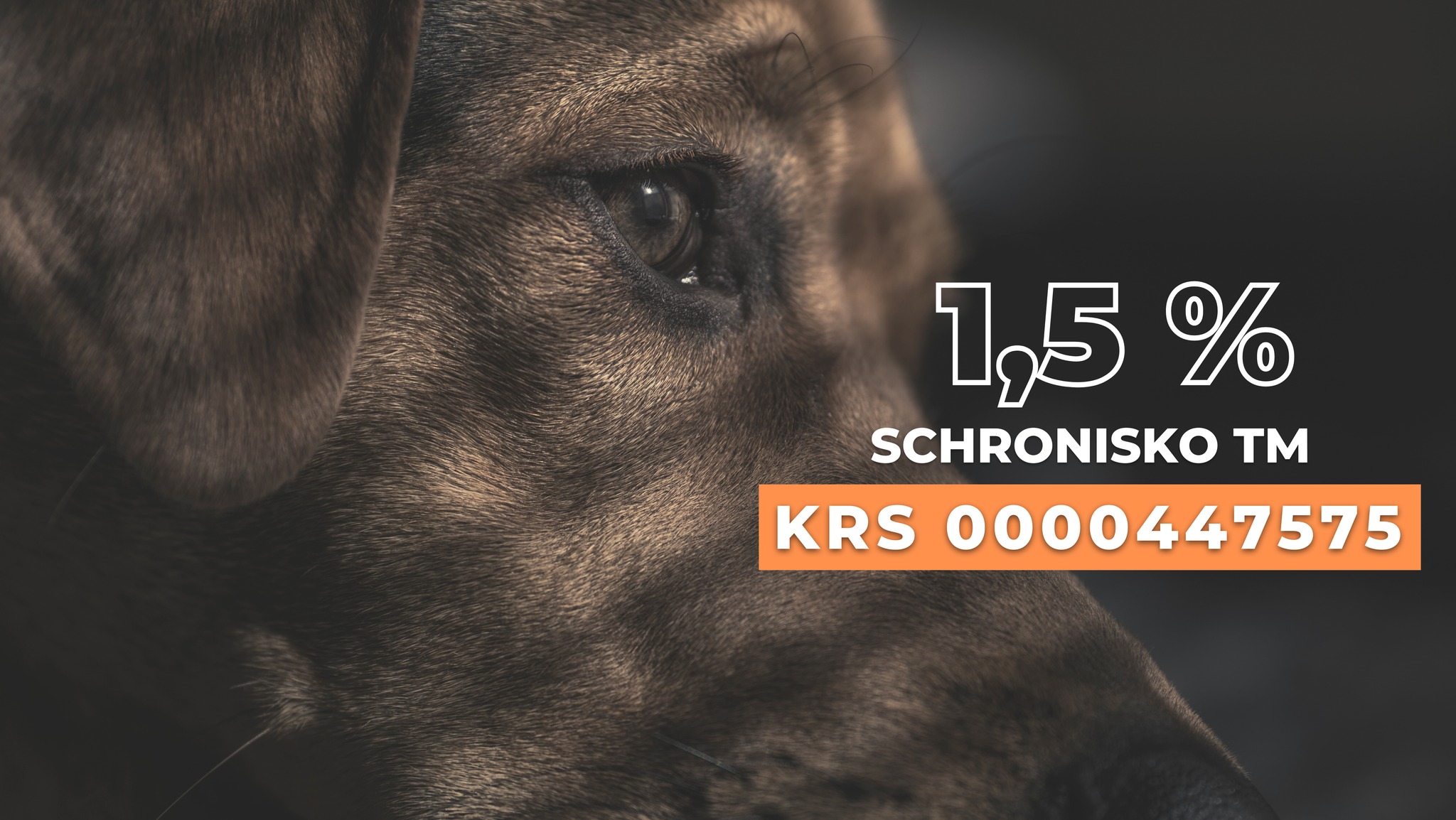 325703671 1179975899556509 4827651472422336324 n